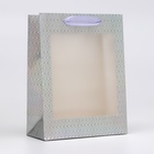 Пакет голография с окном, "Серебряный", S 23,5 х18 х 8,5 см - фото 321787330