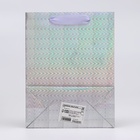 Пакет подарочный, фольгированный, упаковка, с окном «Сердце», «Серебряный» S 23.5×18×8.5 см - Фото 3