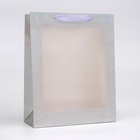 Пакет голография с окном, "Серебряный", M 32 х 25,5 х 11 см - фото 321787354