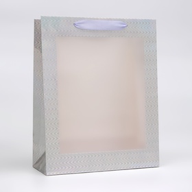 Пакет голография с окном, "Серебряный", M 32 х 25,5 х 11 см
