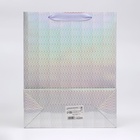 Пакет подарочный, фольгированный, упаковка, с окном, «Серебряный», M 32×25.5×11 см - Фото 3