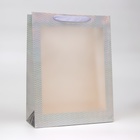 Пакет голография с окном, "Серебряный", L 40 х 30 х 13 см - фото 321787378