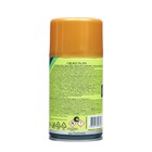 Освежитель воздуха Master FRESH GOLD, сменный баллон, Свежесть SPA, 250 мл - Фото 2