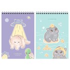 Блокнот А5 60 листов на гребне MESHU "Cat Book", пластиковая обложка МИКС - фото 24656508