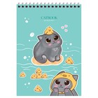 Блокнот А5 60 листов на гребне MESHU "Cat Book", пластиковая обложка МИКС - фото 24656510