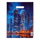 Пакет подарочный «Москва», полиэтиленовый с вырубной ручкой, 30×40 см 50 мкм - Фото 2