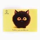 Альбом для рисования на скрепке А4, 12 листов "Черный котик" - фото 321789267