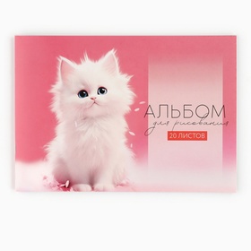 Альбом для рисования А4 20 листов  на скрепке «1 сентября:1 сентября:Белый котенок»