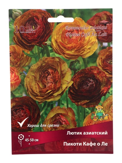 Лютик Пикоти Кафе о Ле, 7/8 р-р, 10 шт., Весна 2026