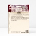 Хионодокса Форбса, 5/6 р-р, 10 шт, 15 h(см), Осень 2025 - Фото 4