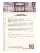 Сальвия дубравная «Сальватор Блу», 1 шт., Осень 2026, «ПОИСК» - Фото 3