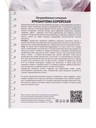 Хризантема корейская Вересневый бисер, I р-р, 1 шт. Весна 2026 - Фото 4