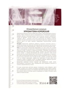 Хризантема корейская Калина красная, I р-р, 1 шт. Весна 2026 - Фото 4