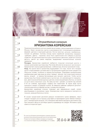 Хризантема корейская Калина красная, I р-р, 1 шт. Весна 2026