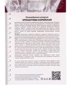 Хризантема корейская Оранжевая игольчатая, I р-р, 1 шт. Весна 2026 - Фото 4