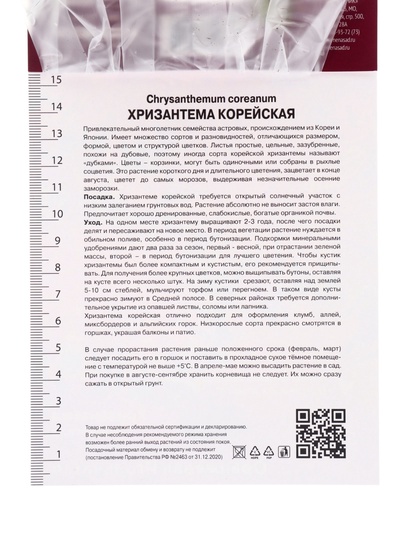 Хризантема корейская Оранжевая игольчатая, I р-р, 1 шт. Весна 2026