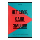 Словарь для записи иностранных слов А6, 48 листов "Запиши или забудь", обложка мелованный картон, вд-лак, блок офсет, МИКС (комплект 7 шт) - фото 24674624