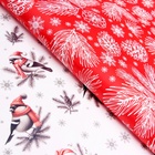 Бумага упаковочная новогодняя «С Новым годом», глянцевая, двусторонняя, 80 г/м², 70×100 см - Фото 3