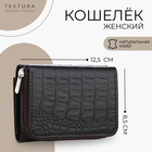 Кошелёк женский на молнии, TEXTURA, цвет коричневый 10555298 - фото 3900861