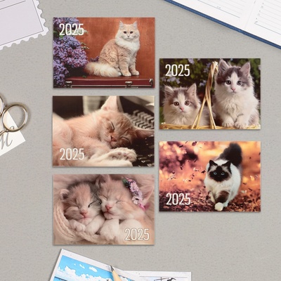 Карманный календарь "Коты" 2025 год, 7 х 10 см