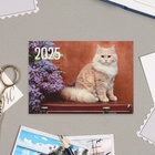 Карманный календарь "Коты" 2025 год, 7 х 10 см - Фото 4