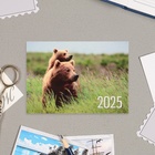 Карманный календарь "Животные" 2025 год, 7 х 10 см - Фото 7