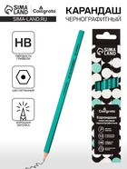 Карандаш чернографитный Calligrata, HB, шестигранный, пластиковый, зелёный корпус - Фото 1