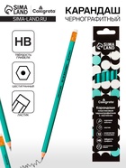 Карандаш чернографитный Calligrata, HB, с ластиком, шестигранный, пластиковый, зелёный корпус - Фото 6