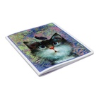 Дневник универсальный 1-11класс, 48 листов "Кто там?", цветная печать, блок 65г/м2 - фото 24704958