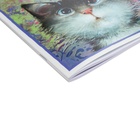 Дневник универсальный 1-11класс, 48 листов "Кто там?", цветная печать, блок 65г/м2 - фото 24704959