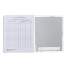 Дневник универсальный 1-11 класс, 48 листов "Модный мишка", цветная печать, блок 65 г/м2 - фото 24704971