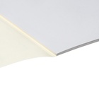 Альбом для рисования А4, 20 листов на клею "Погоня", обложка мелованный картон, выборочный УФ-лак, блок 100 г/м2 - фото 24716075