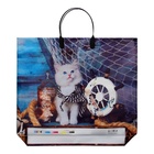 Пакет "Кот", полиэтиленовый с пластиковой ручкой, 38х34 см, 90 мкм 10353259