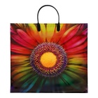 Пакет «Цветок», полиэтиленовый с пластиковой ручкой, 38×34 см, 90 мкм - Фото 1