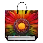 Пакет «Цветок», полиэтиленовый с пластиковой ручкой, 38×34 см, 90 мкм - Фото 2