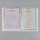 Папка для семейных документов "Виолетта", 4 комплекта документов, 19 карманов - Фото 3