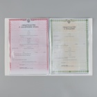Папка для семейных документов "Розовый мрамор", 4 комплекта документов, 19 карманов - Фото 3