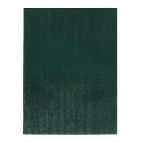 Тетрадь А4 96 листов в клетку Calligrata VIGO бумвинил VA0505 (Soft-touch), зелёный, блок офсет
