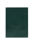 Тетрадь А4, 96 листов в клетку Calligrata, VIGO, бумвинил, зелёный - фото 60950528