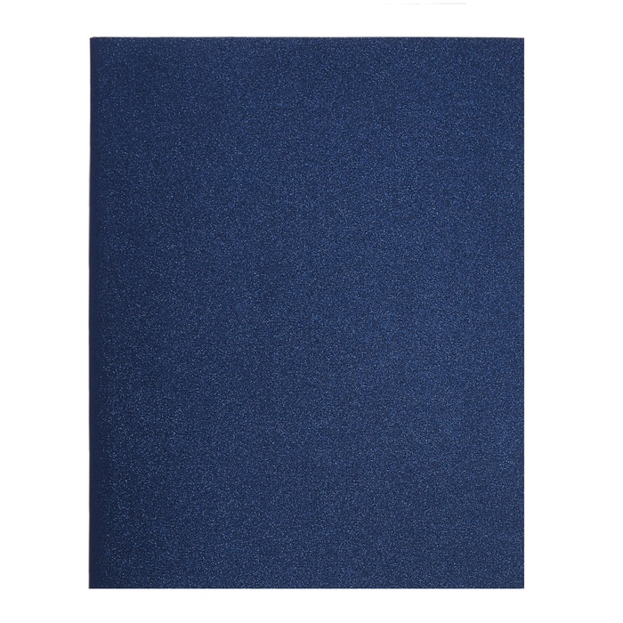 Тетрадь 80 листов в клетку Calligrata VIGO бумвинил VA0602 (Soft-touch), синий, блок офсет