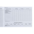 Медицинская карта ребенка Форма №112/у, 80 листов, Коты аристократы - Фото 10