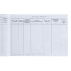 Медицинская карта ребенка Форма №112/у, 80 листов, Коты аристократы - Фото 3