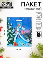 Пакет подарочный новогодний «Сказочная гостья », полиэтиленовый с вырубной ручкой, 45×38 см - Фото 1