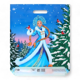 Пакет подарочный новогодний «Сказочная гостья », полиэтиленовый с вырубной ручкой, 45?38 см (комплект 50 шт)