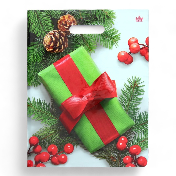 Пакет подарочный новогодний «Калина в подарок», полиэтиленовый с вырубной ручкой, 40×31 см - Фото 1