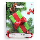 Пакет подарочный новогодний «Калина в подарок», полиэтиленовый с вырубной ручкой, 40×31 см - Фото 3