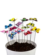 Штекер «Бабочка Дельфиус», 25 см, набор 15 шт., МИКС - Фото 17