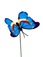 Штекер «Бабочка Атрис», 7×7 см/30 см, набор 30 шт., МИКС, Greengo  (артикул 10423823)  большой выбор товаров оптом и в розницу по низким ценам с доставкой