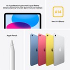 Планшет Apple iPad 2022 A2696 A14 Bionic 6С ROM64Gb 10.9" IPS 2360x1640 iOS розовый 12Mpix 1066880 - фото 51598548 Планшет Apple iPad 2022 A2696 A14 Bionic 6С ROM64Gb 10.9" IPS 2360x1640 iOS розовый 12Mpix 1066880 - фото 51598548
