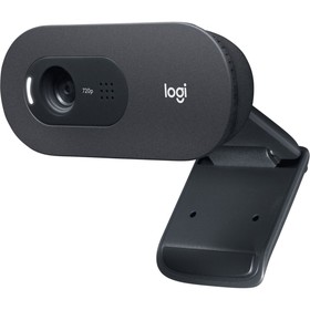 Камера Web Logitech C505e черный 1.2Mpix (1280x720) USB2.0 с микрофоном для ноутбука (960-0   106689